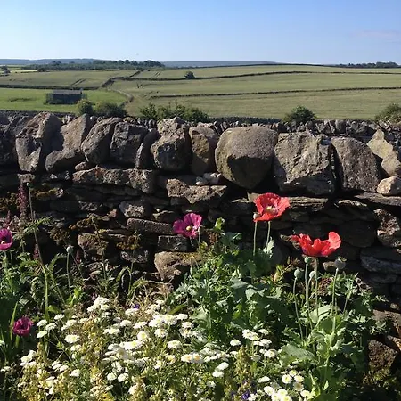 Curlew Barn Leyburn