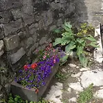 住宿加早餐酒店 麻鹬谷仓住宿加早餐旅馆
