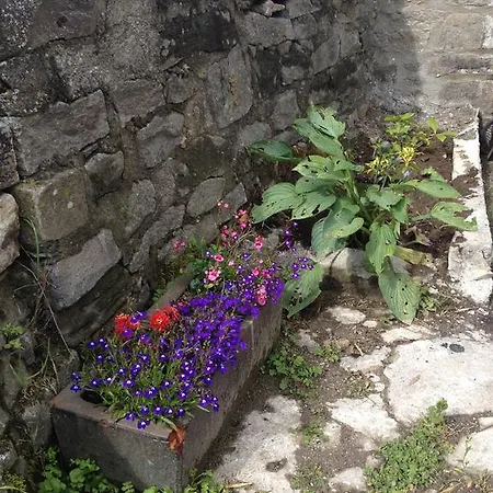 Bed & Breakfast Curlew Barn
