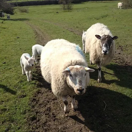 Curlew Barn Bed & Breakfast